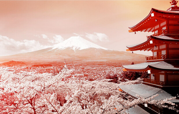 如果去日本的話(那就要去)東京& 富士山!政投銀等調(diào)查都超過(guò)了 50%